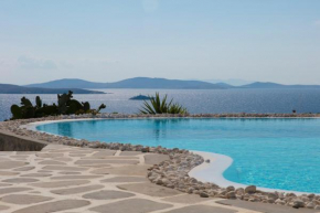 Villa Aristotle